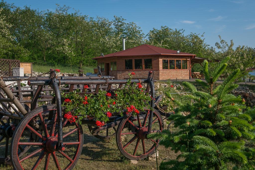 Farkasverem Vendeghaz Hotell Nyírtura Exteriör bild